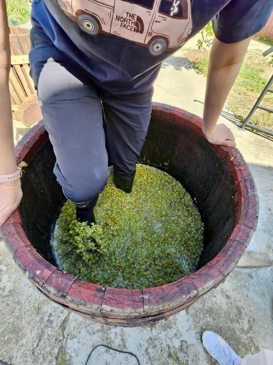 Guesthause Bagdati 外观 照片